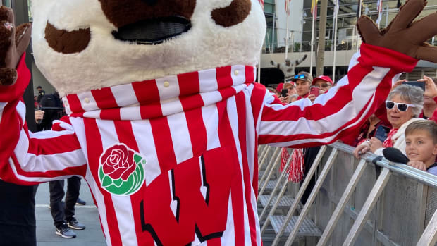 Bucky Badger